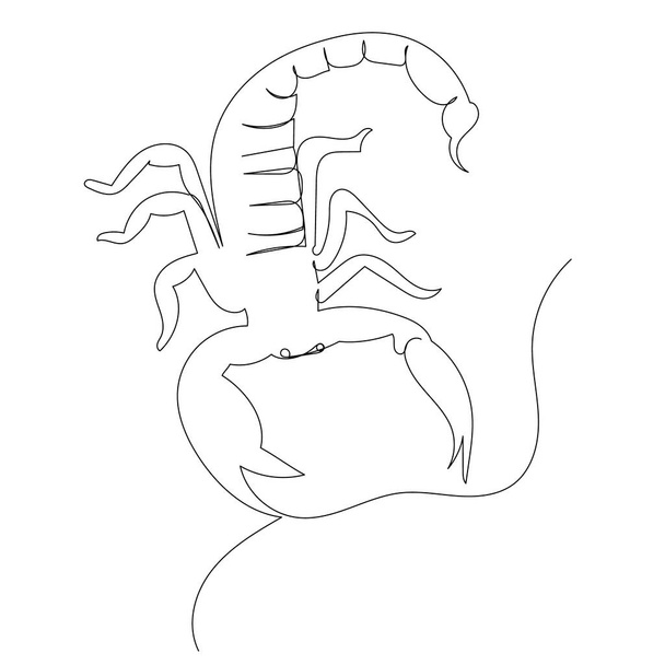 disegno dello scorpione da una linea continua, isolata, vettore - Vettoriali, immagini