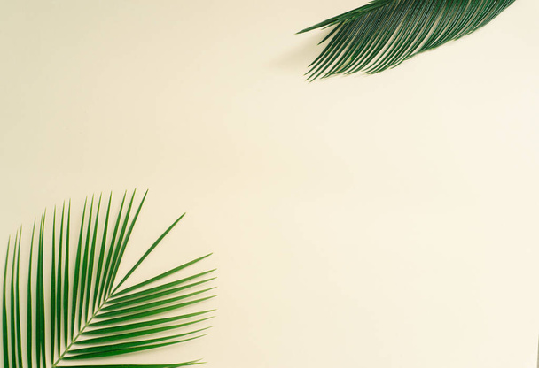 Expositor de moda de hojas de palmera frescas y verdes sobre fondo beige veraniego. Arte plano. - Foto, imagen