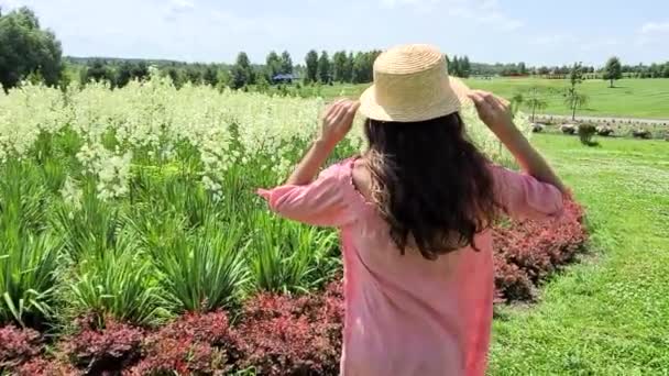 Menina atraente em roupas elegantes rosa de pé feliz perto do campo de flores no verão. Ter sentimentos de liberdade. Está linda, linda. Poder da natureza, beleza - Filmagem, Vídeo