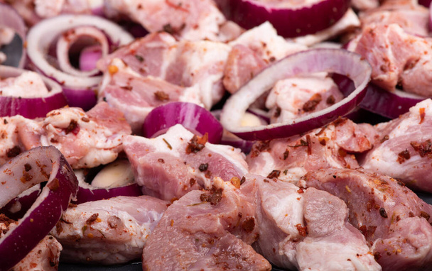 Syrové maso s cibulovými kroužky a kořením na grilování - Fotografie, Obrázek