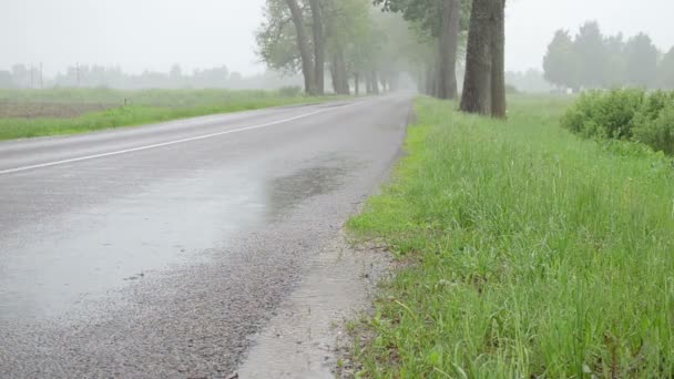 dešťová voda na asfaltu - Záběry, video