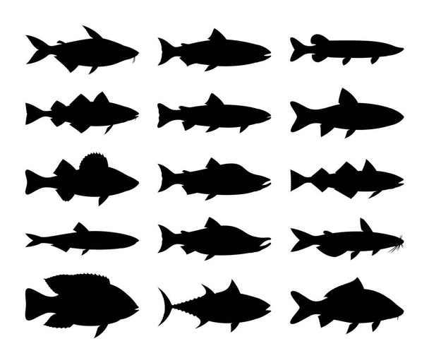 Силуэты векторных рыб на белом фоне - Вектор,изображение