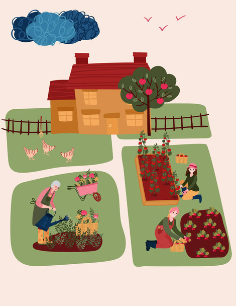 Senior Woman watering flowers. Old Woman cultivating garden. Female hobby gardening in house yard. Farmer grow eco tomatoes and radishes in Beds. House in lawn with apple tree. - Vetor, Imagem