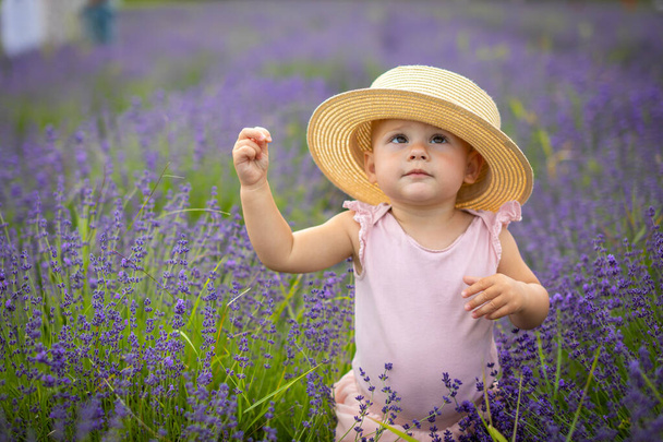 Smiling baby girl in pink dress in a lavender field, Czech republic - Фото, изображение