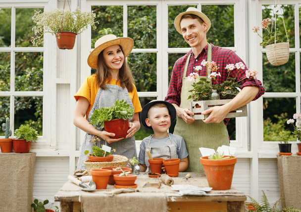 Örvendetes szülők és fia cserepes növények mosolyognak, és a kamerába néz, miközben együtt dolgoznak a narancs - Fotó, kép