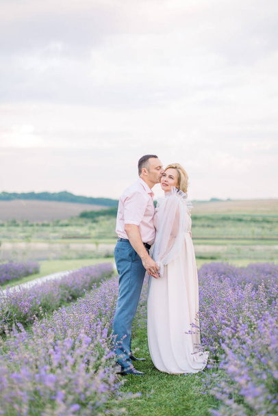 Mature romantic loving couple walking in lavender field. - 写真・画像