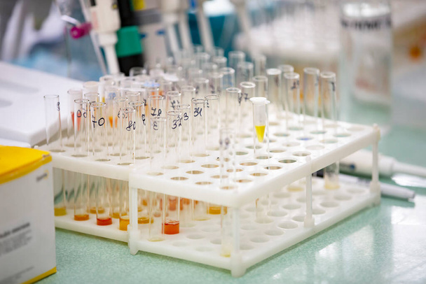 Bir tıp laboratuarında analiz edilen birçok cam test tüpü.. - Fotoğraf, Görsel