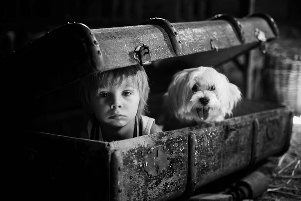 Cute toddler child, blond boy, hiding in a big suitcase in the attic, looking scared out of it - Foto, immagini