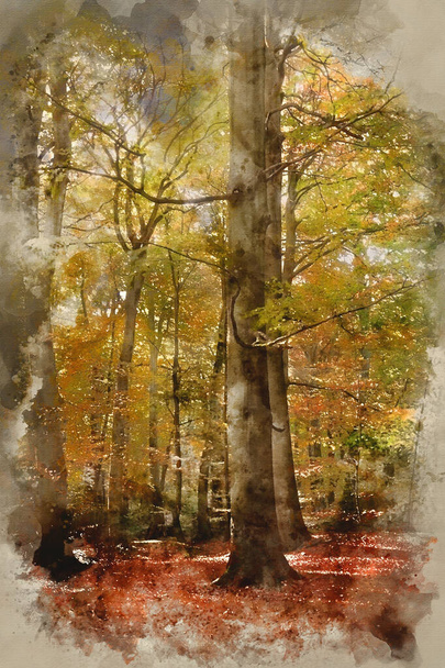 Digitální akvarel malba krásné krajiny obraz lesa pokrytý podzimem Podzim barva kontrastní zelené a oranžové, hnědé a zlaté - Fotografie, Obrázek
