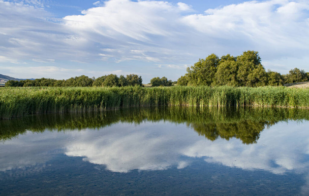 Paisagem da lagoa com reflexos no verão. - Foto, Imagem