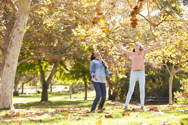 Two Girls Throwing Autumn Leaves In The Air - Photo, image