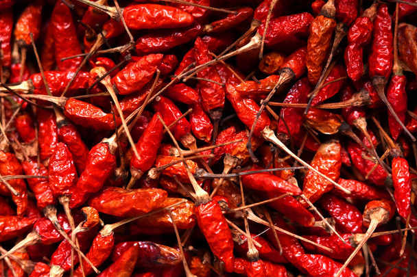 background is filled with red dried peppers, an important ingredient of food. - Photo, Image