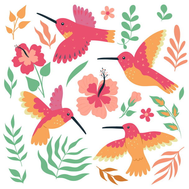 Set kolibries en bloemen geïsoleerd op witte achtergrond. Vectorafbeelding. - Vector, afbeelding