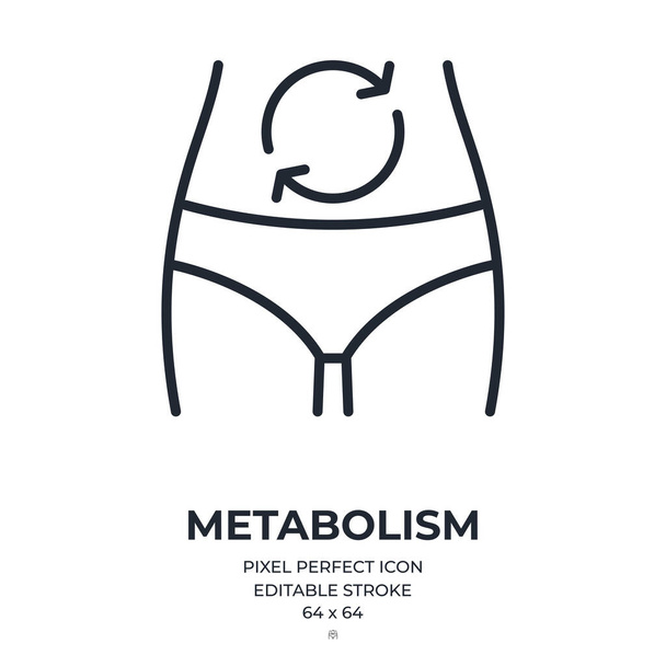 Metabolismo o proceso de digestión concepto editable ictus contorno icono aislado en fondo blanco ilustración vectorial plana. Pixel perfecto. 64 x 64. - Vector, imagen
