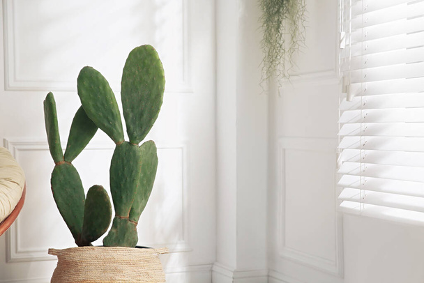 Stylish room with beautiful potted cactus, space for text. Interior design - 写真・画像