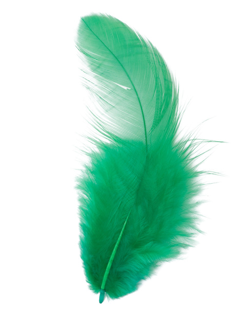 Green feather isolated on white background cutout - Zdjęcie, obraz