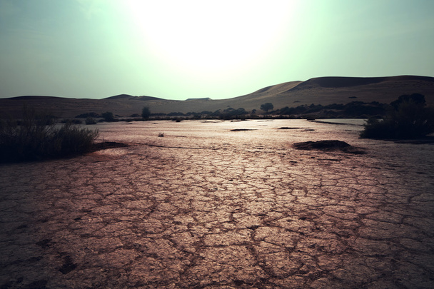 Sequía
 - Foto, imagen