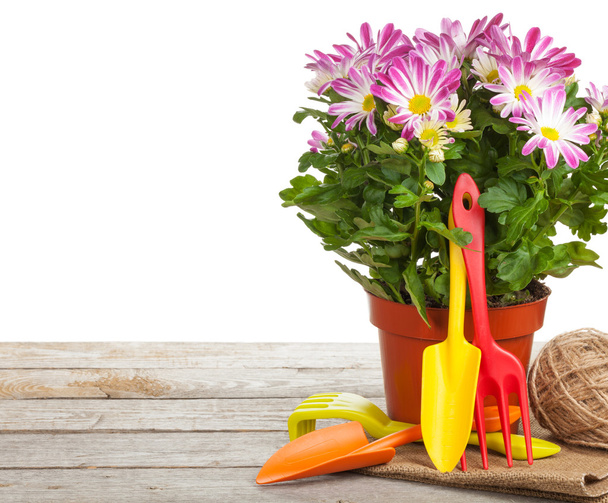 Outils de jardinage et fleurs en pot
 - Photo, image