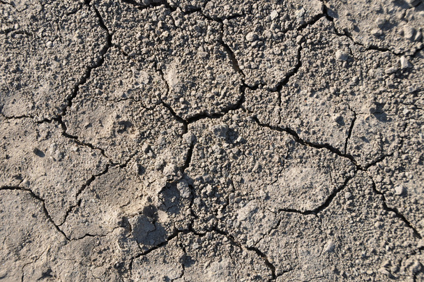 Boden in Trockenheit mit Rissen formatfüllend closeup - Fotoğraf, Görsel
