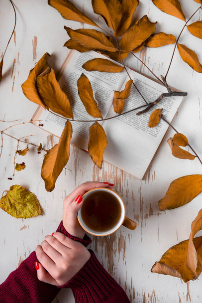 Mani femminili in un maglione con una tazza di tè e un libro, su uno sfondo bianco con foglie. Concetto autunno. - Foto, immagini