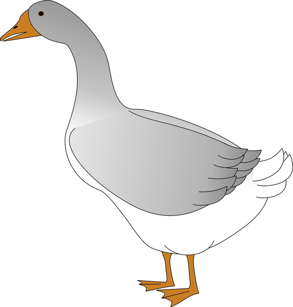 Goose - Vektori, kuva