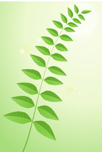 πράσινα φύλλα σε έναν μίσχο - Διάνυσμα, εικόνα