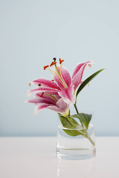 lily flower and bud on transparent glass vase - Foto, Imagem