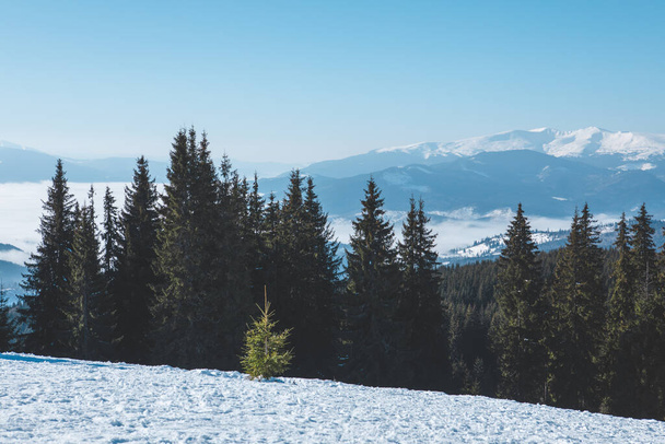 Panoramiczny widok zimowego śniegu góry piękno w przyrodzie. przestrzeń kopiowania - Zdjęcie, obraz