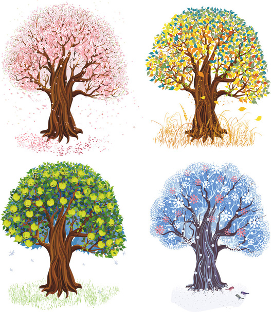 Four seasons - Vetor, Imagem