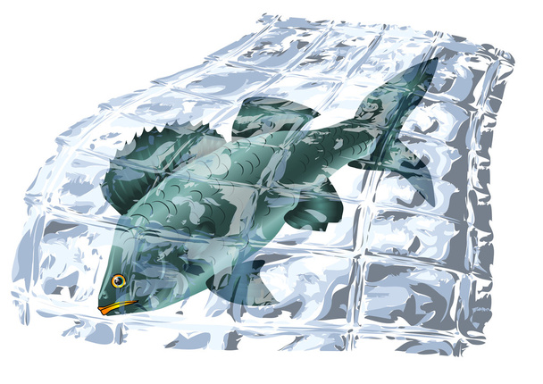 Bevroren vis - Vector, afbeelding