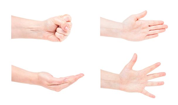 Mulher branca mãos gestos conjunto isolado no fundo branco. - Foto, Imagem