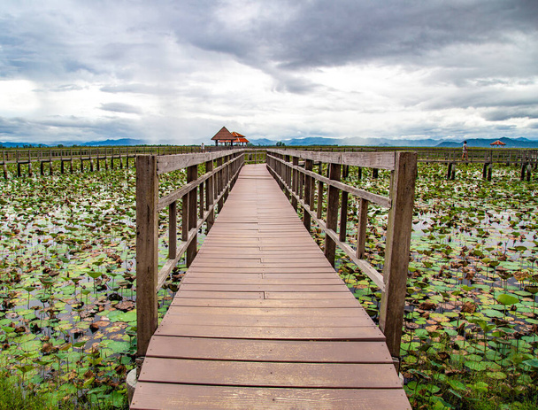 Sam Roi Yot Freshwater Marsh, Walk over the marsh, Bueng Bua Wood Boardwalk в національному парку Sam Roi Yot в Прачуап Хірі Хан, Таїланд - Фото, зображення