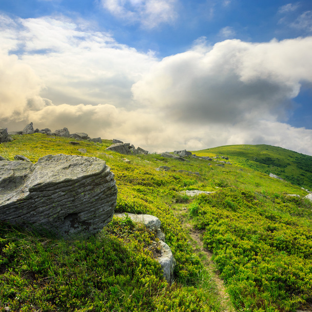 stones on the hillside - Φωτογραφία, εικόνα