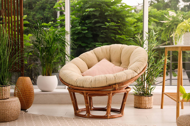 Indoor terrace interior with soft papasan chair and green plants - Fotoğraf, Görsel