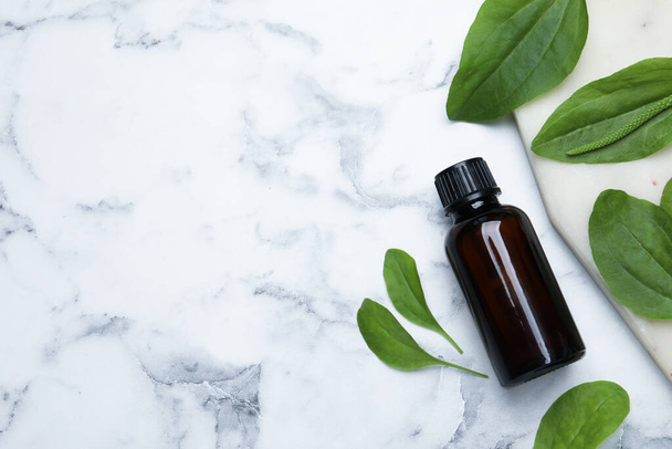 Bottle of broadleaf plantain extract and leaves on white marble table, flat lay. Space for text - Photo, image