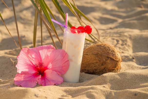 Coconut smoothie - Photo, image