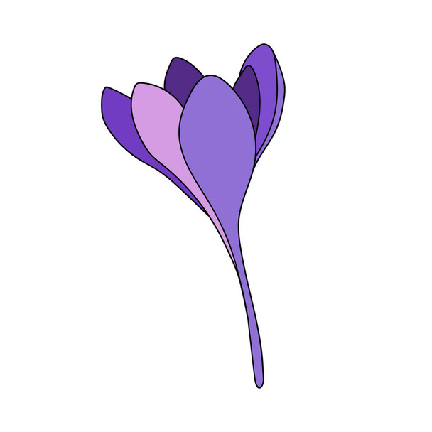 Vector illustration of a single color crocus saffron flower linear drawing. Botanical illustration by line - Διάνυσμα, εικόνα