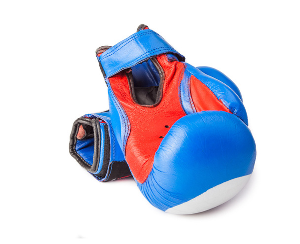 Боксерские глобусы - Фото, изображение