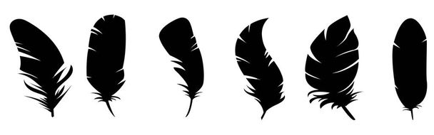 Realistische schwarze Federn. Vogelfedern, Federkielschwäne oder Krähenfederelemente. Dekorative isolierte flauschige Boho-Symbole, mystische magische Geräte Vektor-Set - Vektor, Bild