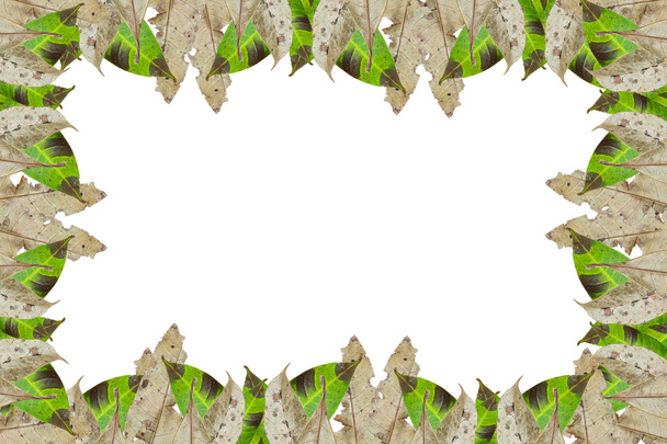 Colorido rincón otoñal hecho de hojas, aislado en respaldo blanco
 - Foto, Imagen
