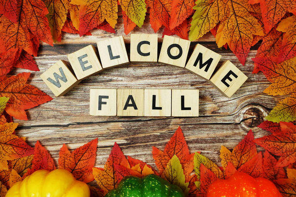 Welcome Fall alphabet letter with maple leaves frame on wooden background - 写真・画像