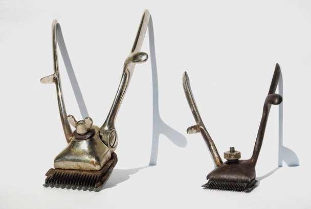 Два старинных ручных подстриженных волоска - Фото, изображение
