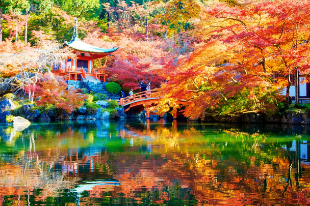 sonbahar bir Japon bahçesi ile akçaağaç Kyoto, Japonya - Fotoğraf, Görsel