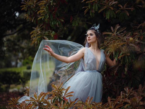 a beautiful woman like a fairy or nymph walking in the park. fairy tale image art photo. nymph of forest Near a beautiful, unusual tree - Zdjęcie, obraz