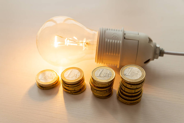 Ampoule lumineuse avec des pièces à côté. Augmentation des tarifs énergétiques. Efficacité et économies d'énergie.  - Photo, image