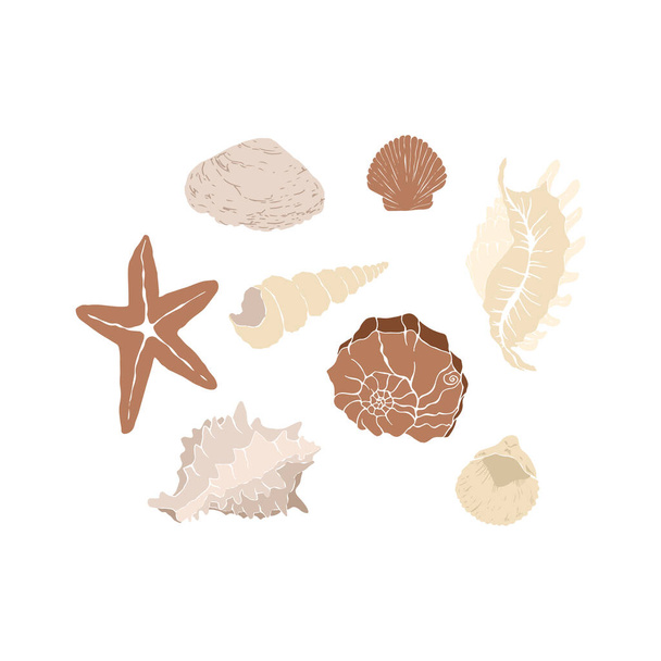 Set of sealshells. Abstrct clam, oyster, shellfish, scallop. Abstract feminine vector illustrations. Summer girly trendy simple icons. For instagram post, business advertisement, flyer design. - Vector, Image