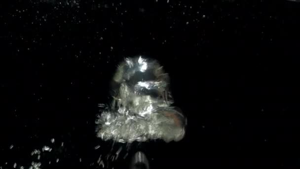 Luchtbellen zweven onder transparante waterbellen in het aquarium - Video