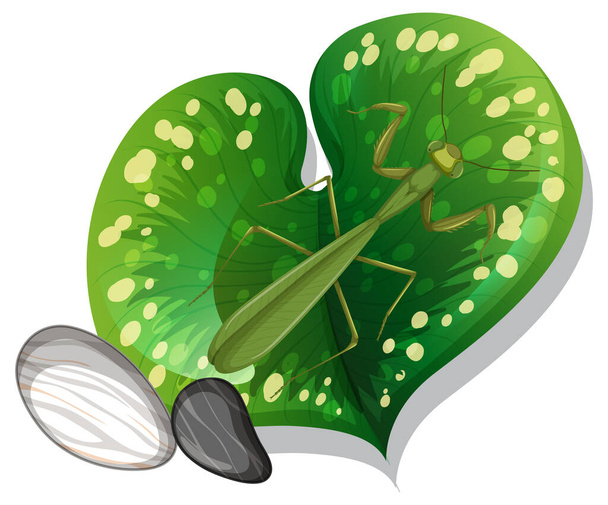 Top view of mantis on a leaf isolated illustration - Vektori, kuva