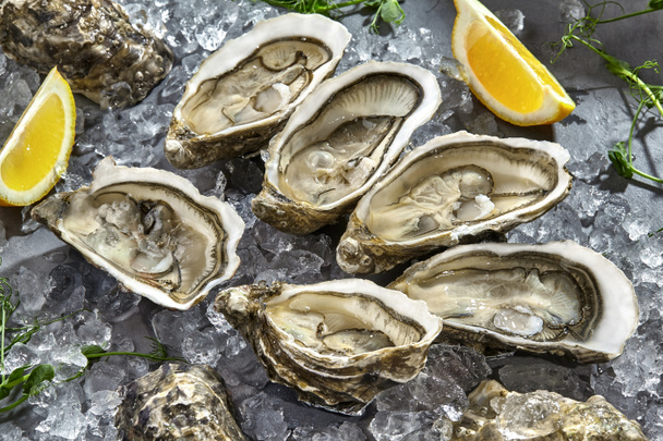 Six fresh raw oysters in shells halves on ice with lemon - Photo, Image