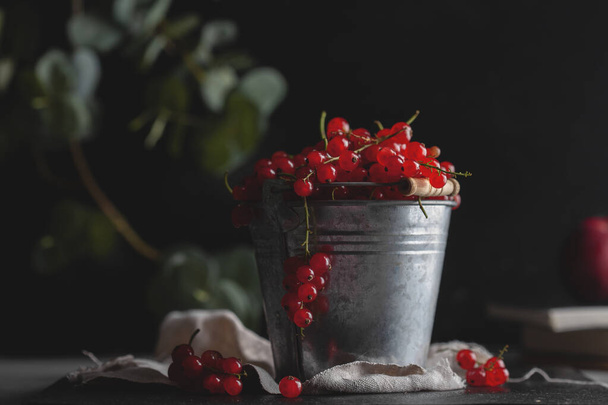 Currants in a bucket on a black background. Side view of red berries. Vitamin berries. Copy space. Low key. Dark and morose food. Water drops - Foto, Bild